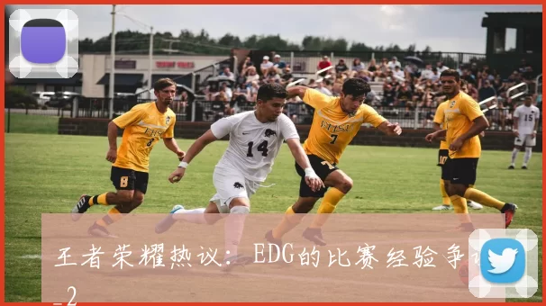 王者荣耀热议：EDG的比赛经验争议_2
