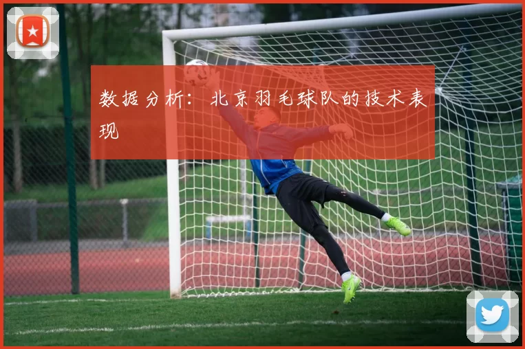 数据分析：北京羽毛球队的技术表现