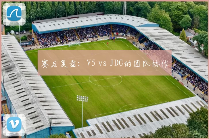 赛后复盘：V5 vs JDG的团队协作