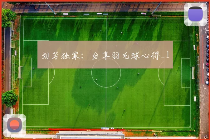 刘芳独家：分享羽毛球心得_1