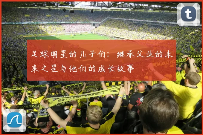足球明星的儿子们：继承父业的未来之星与他们的成长故事