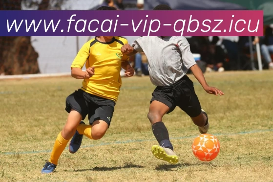 九游体育APP 封面图