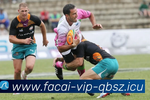 数据防护可视化